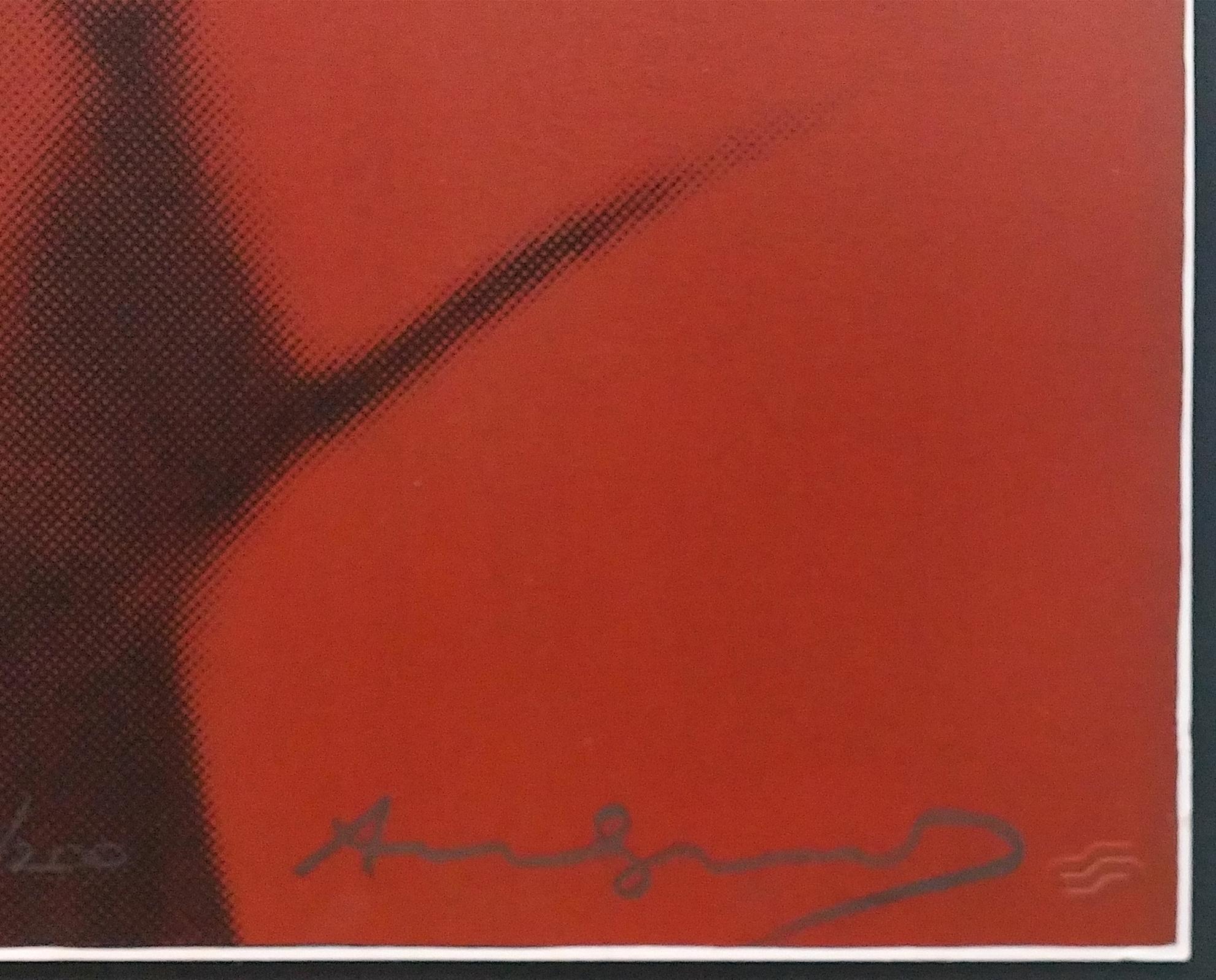 MYTHS: II.267: THE SHADOW - Print by Andy Warhol