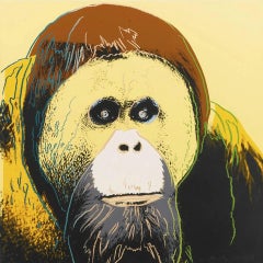 Orangutan (F. & S. I I. 299) By Andy Warhol