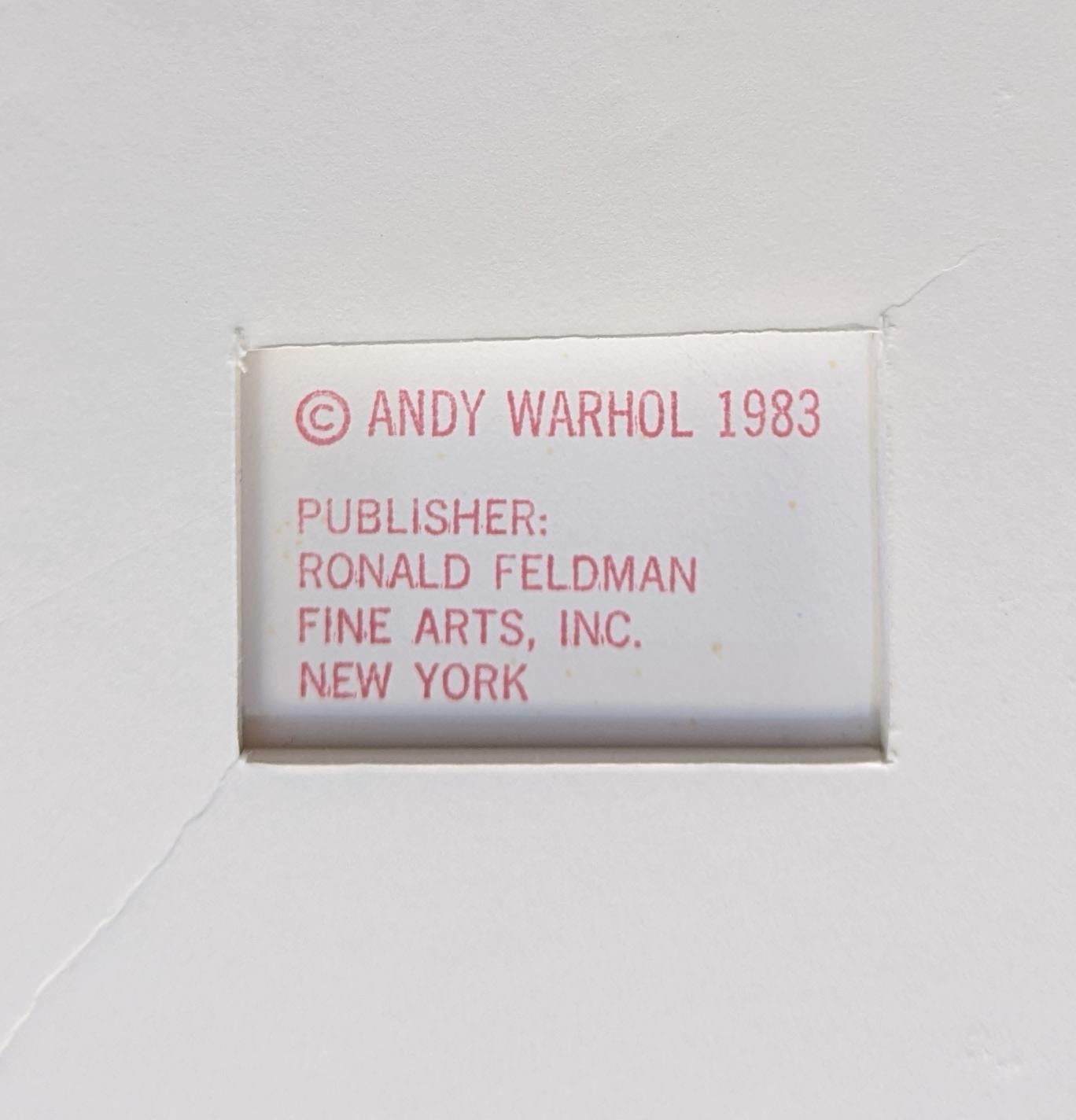 LAUBFROSCH DER KIEFERNSÜMPFE FS II.294 (Violett), Portrait Print, von Andy Warhol