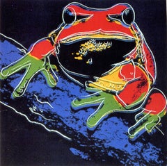 Pine Barrens Tree Frog FS II.294
