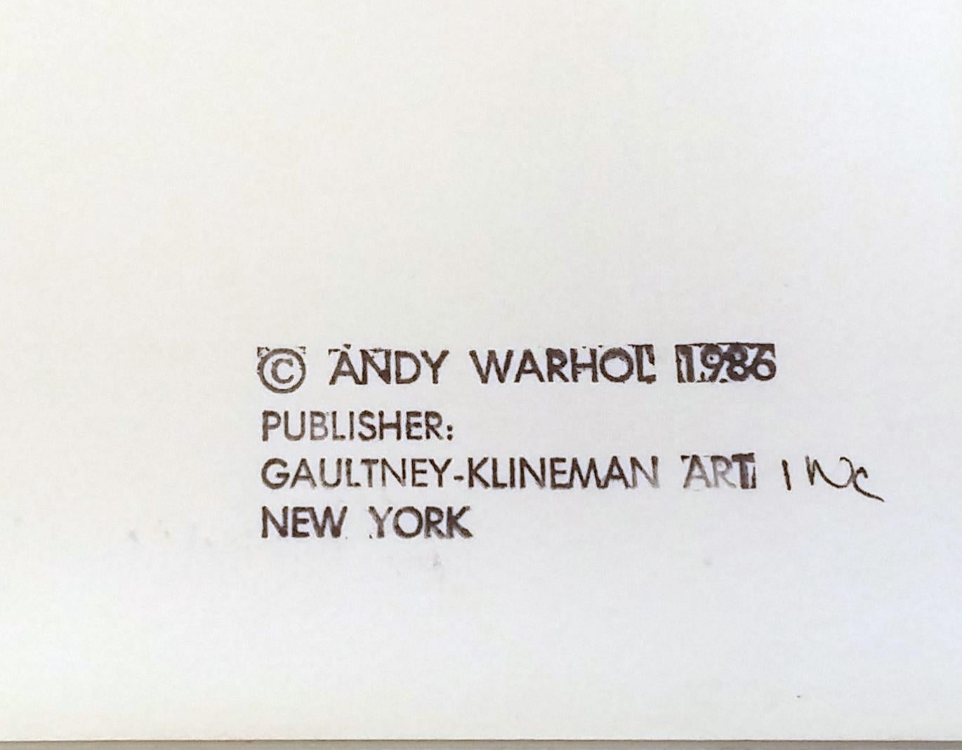 PLAINS INDIAN SHIELD FS II.382 - Pop Art Print by Andy Warhol