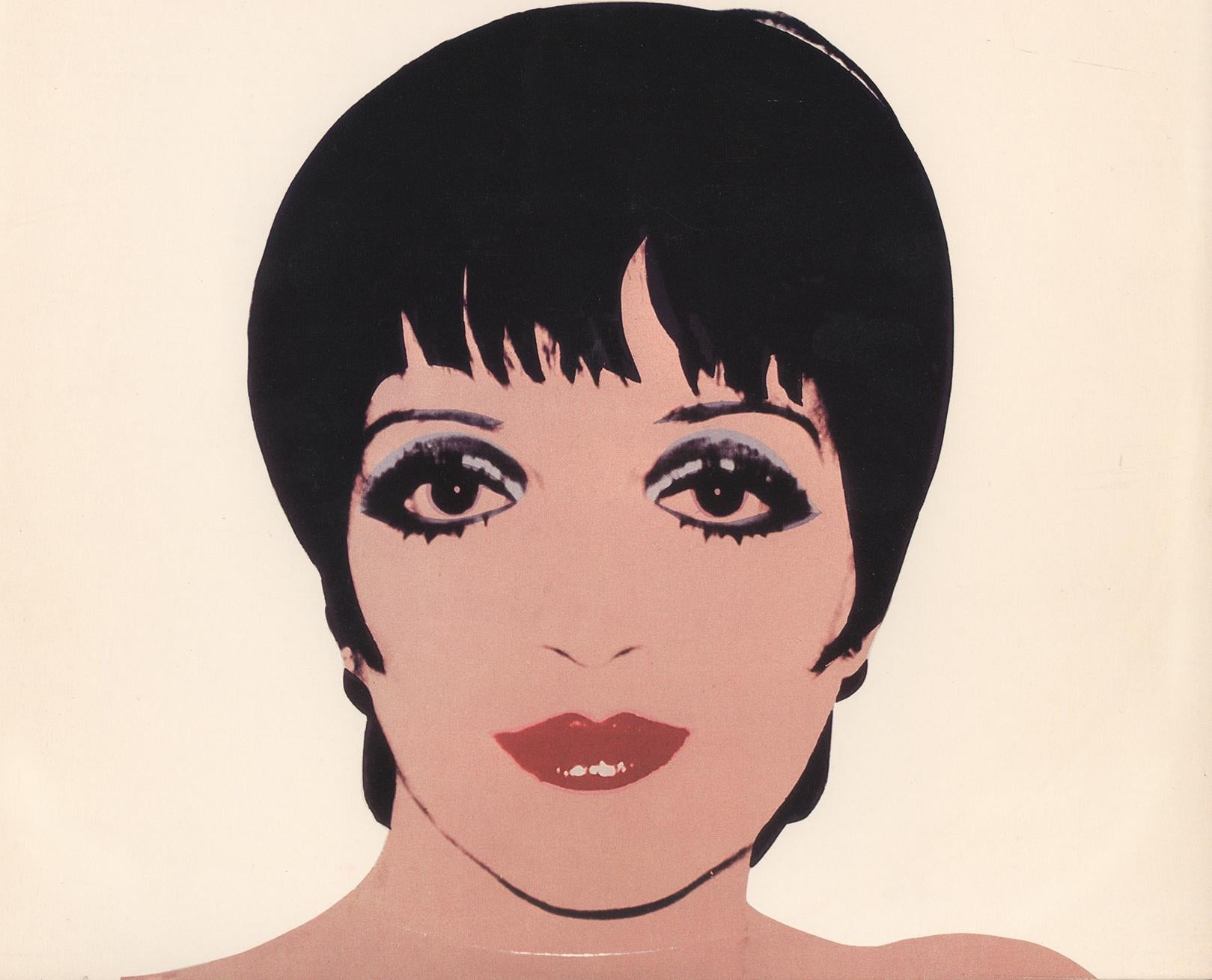 Rare original Andy Warhol record art 1981 (Warhol Liza Minnelli) 2