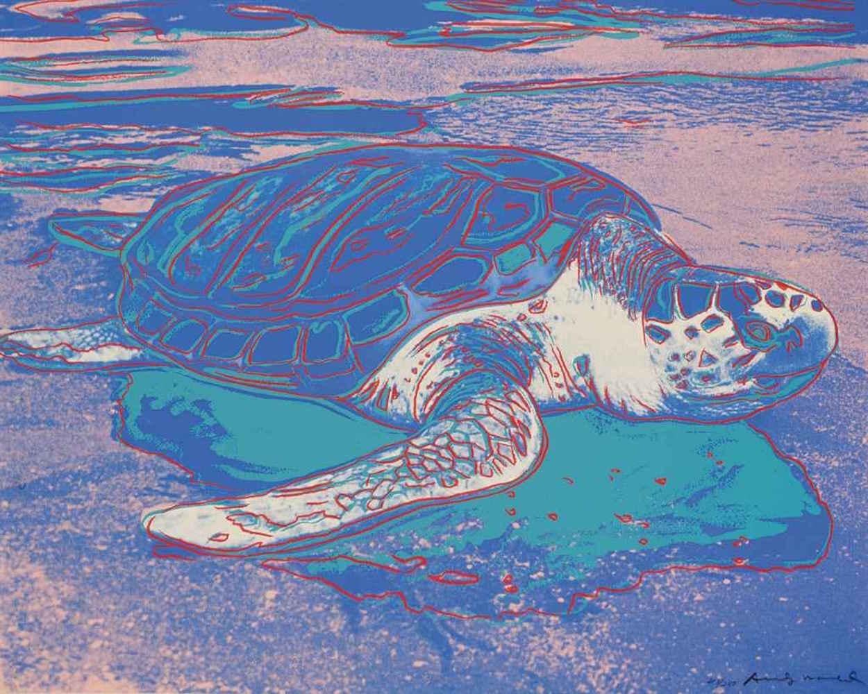 Sea Turtle, FS II.360