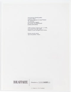 The Lion, Andy Warhol, Eighties, Animal, Lithograph