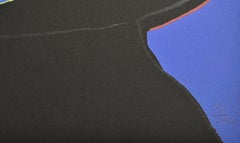 The Witch (Posthumous Edition) - Screen Print after Andy Warhol - 2000s