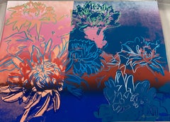 Untitled from Kiku portfolio