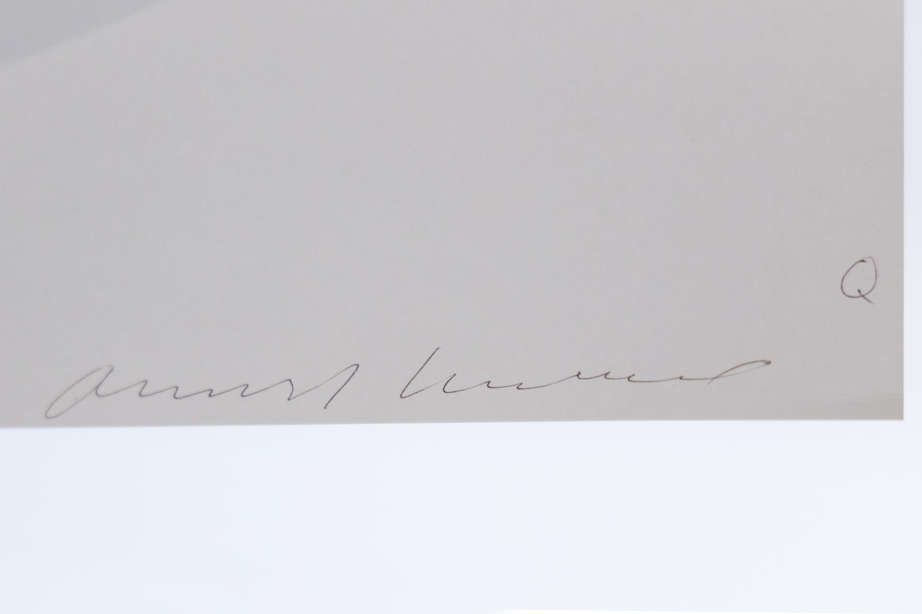 Vegetable Made With Beef Stock - Pop Art Screen Print, 1968 For Sale 5