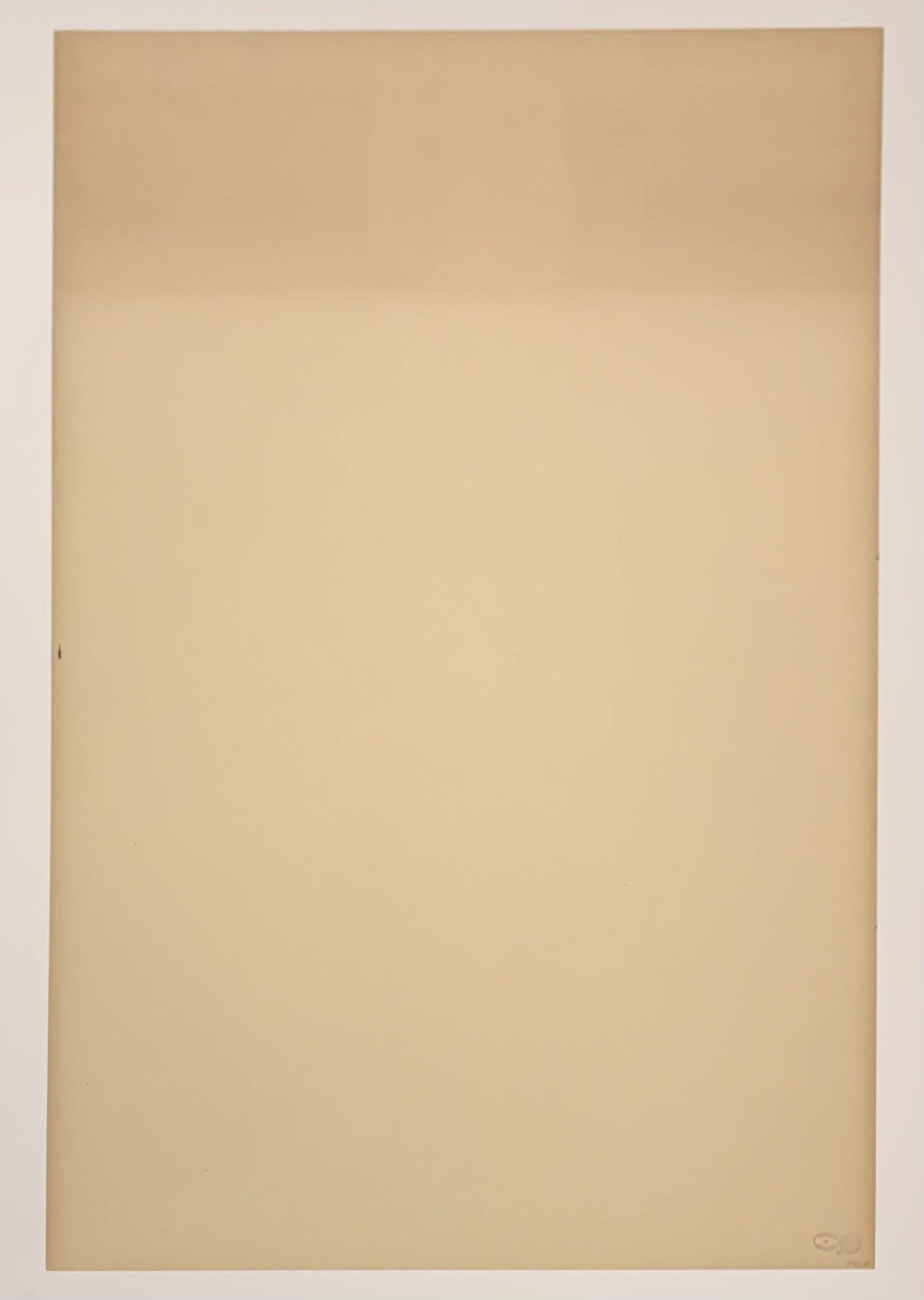 ANDY WARHOL WASHINGTON MONUMENT

Artist: Andy Warhol
Title: Washington Monument
Medium: Screenprint on wallpaper
Date: 1974
Edition: Unnumbered
Sheet Size: 44