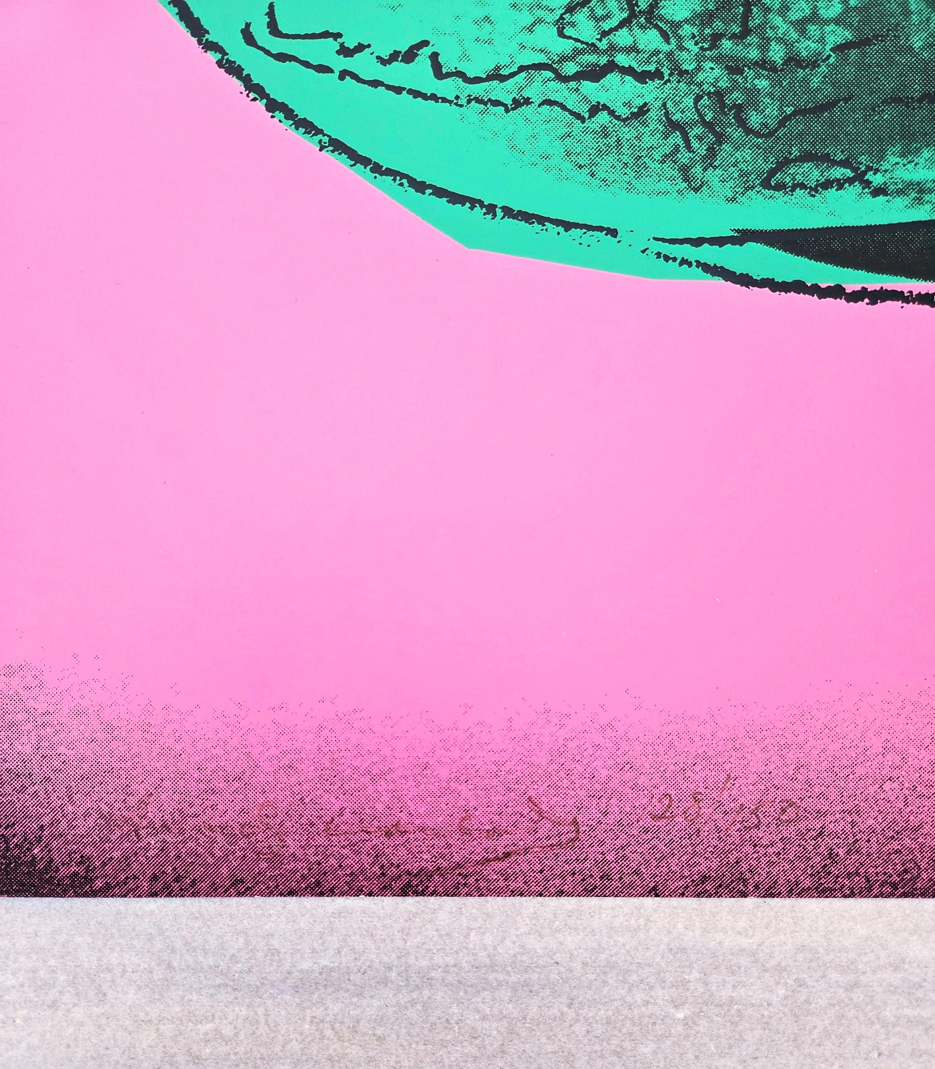 Watermelon /// Andy Warhol Space Fruit Still Lifes Pop Art Screenprint Food Art For Sale 3