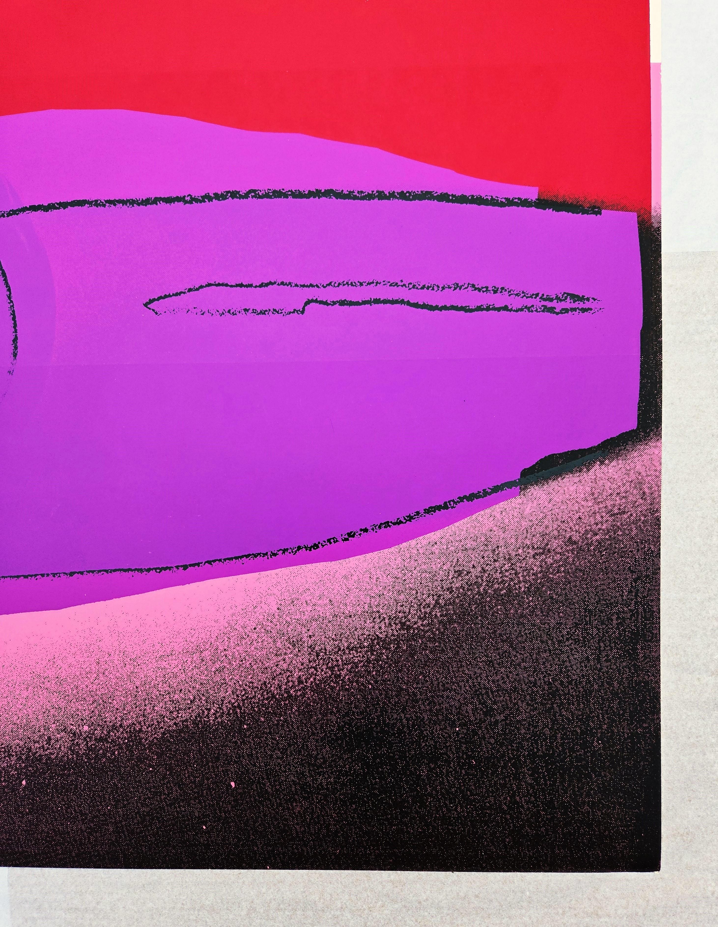 Watermelon /// Andy Warhol Space Fruit Still Lifes Pop Art Screenprint Food Art For Sale 6