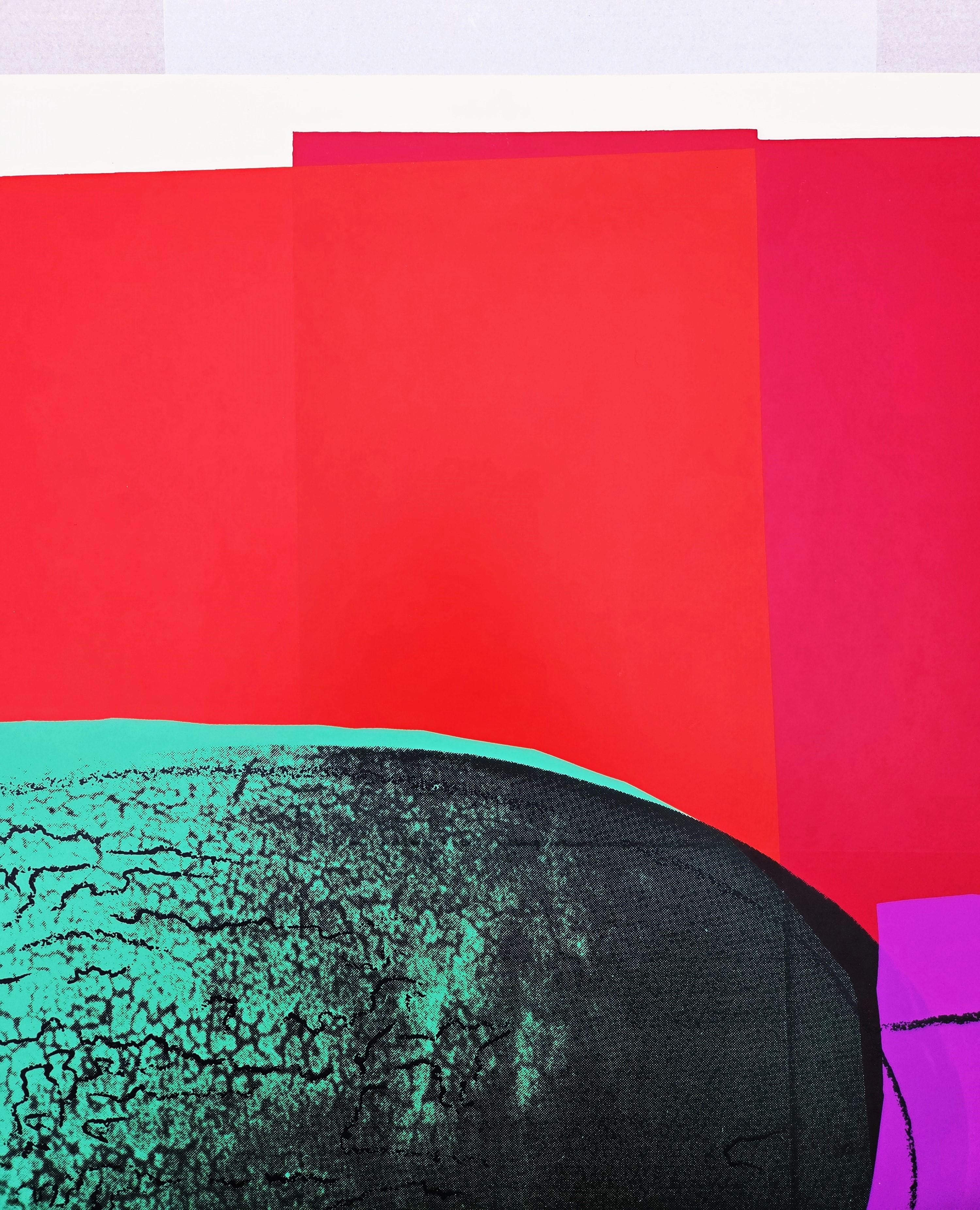 Watermelon /// Andy Warhol Space Fruit Still Lifes Pop Art Screenprint Food Art For Sale 7