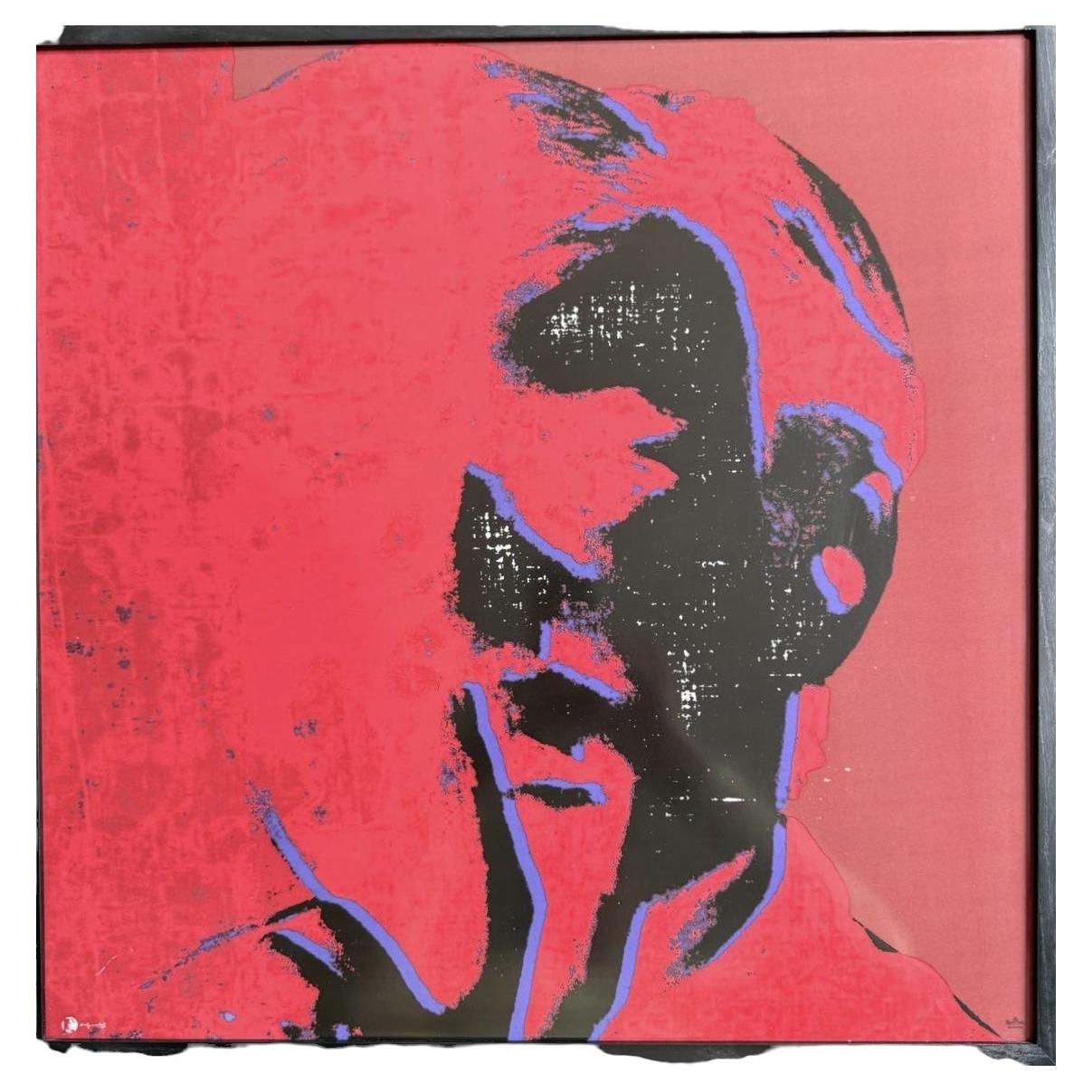 Andy Warhol x Rosenthal Porcelain Pop Art Portrait Framed Pop Art Wall Object