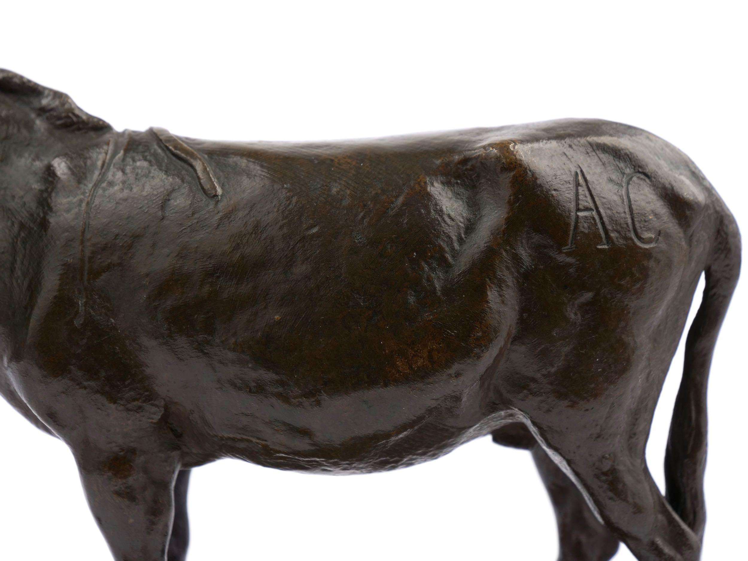 “Ane d’Afrique” French Antique Bronze Sculpture by Auguste Nicholas Cain 2