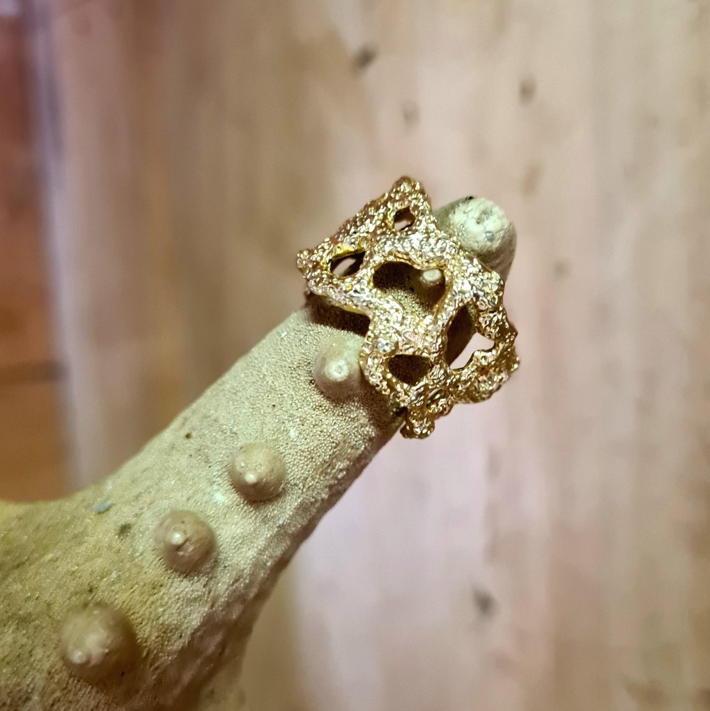 Anello Fascia collezione Disco Traforato preistorico im Angebot 1