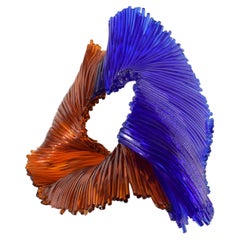 Anemone 24A106