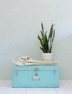 Anemone Designer-Tapete in Zephyr „Weiß und Blassblau“