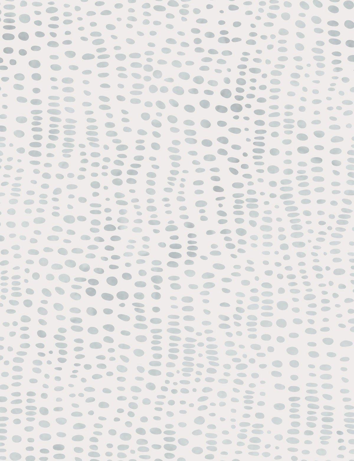 anemone wallpaper