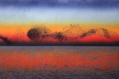 Murmurations  2 -  Handmade Linocut,  Limited Edition Print Unique 1/5
