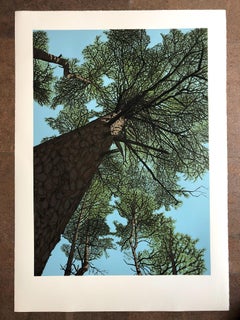 Towards You I Ascend  -  Handmade Linocut,  Limited Edition Print Unique 1/7