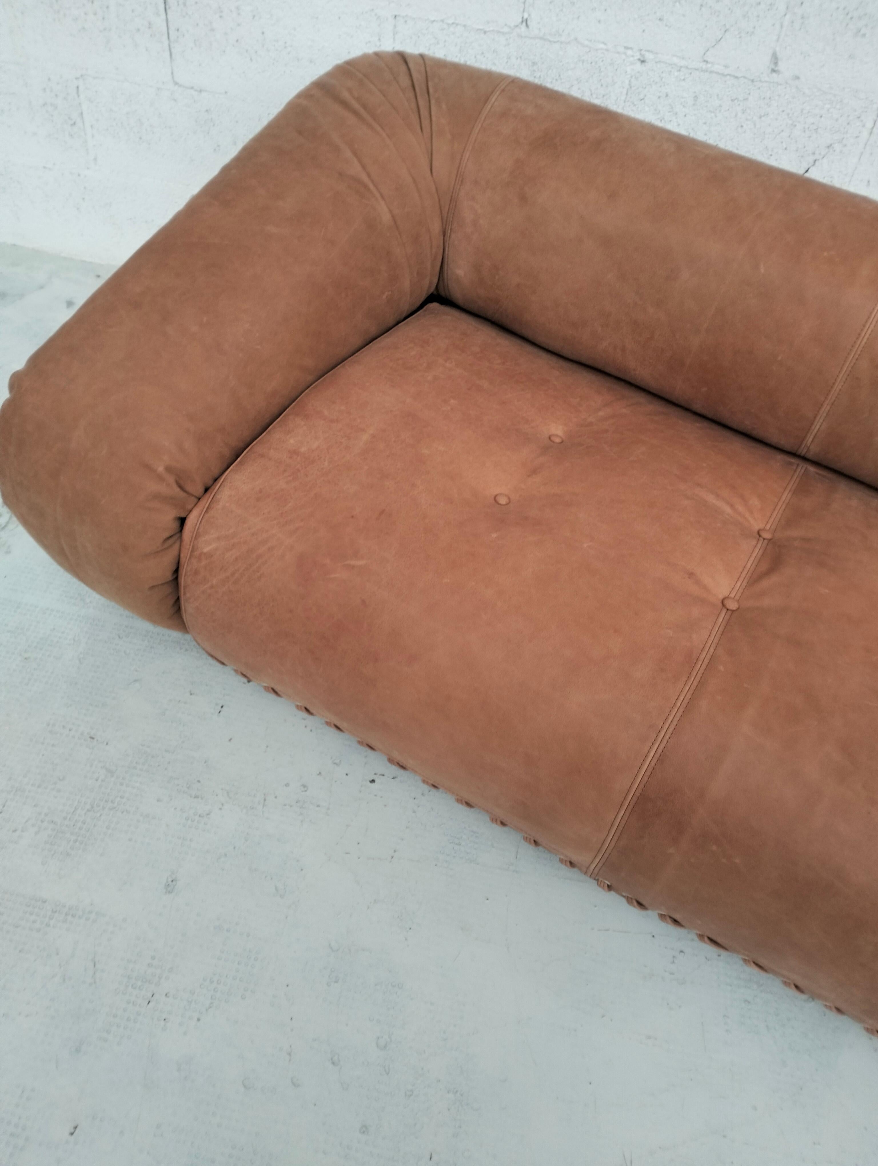 Anfibio, natural leather sofa by Alessandro Becchi for Giovannetti, Italy 1970s For Sale 2