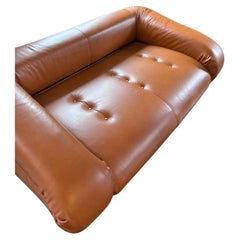 Amphibious Sofa by A.Becchi from Giovanetti 1970s Leather