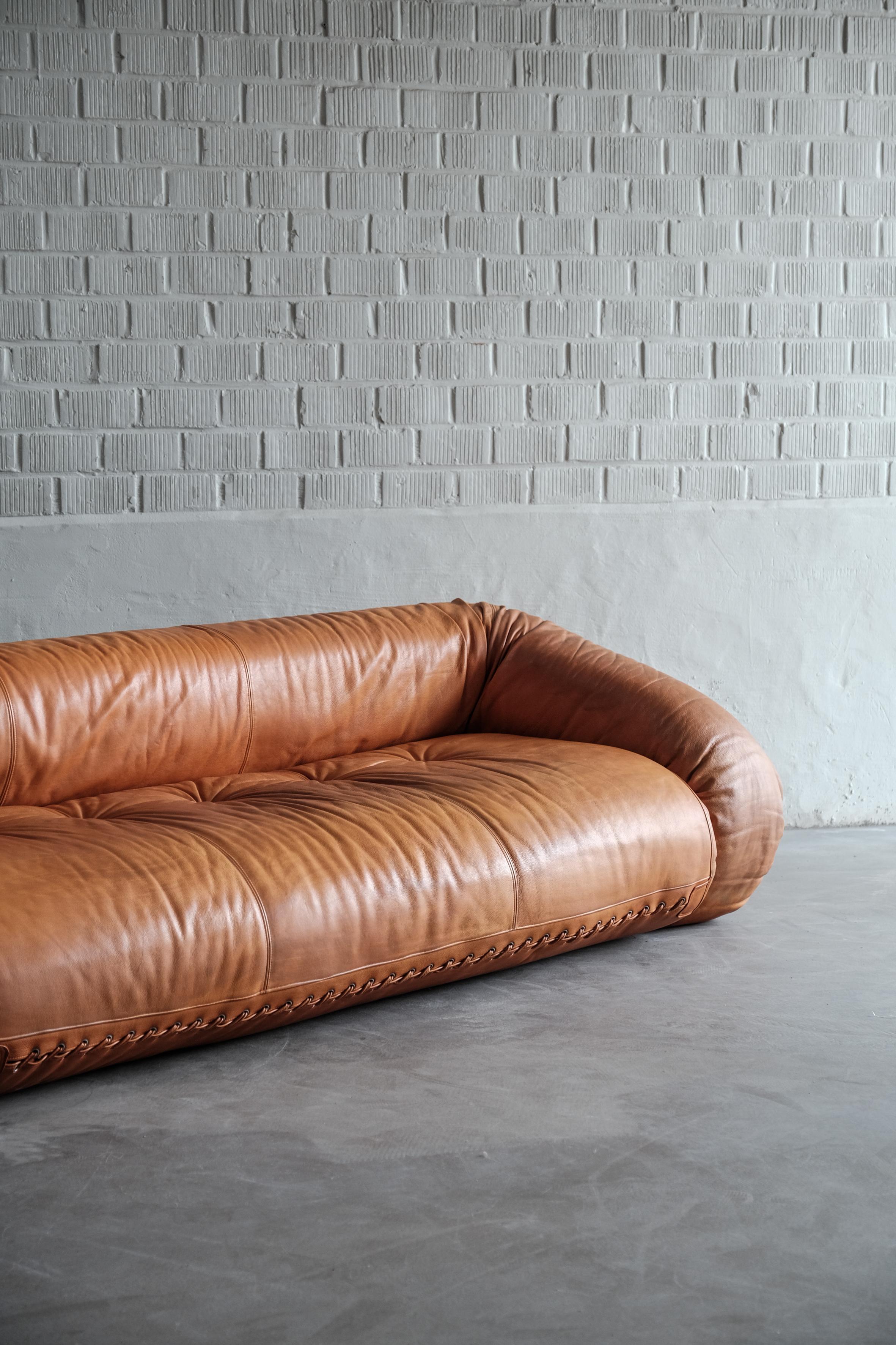 Mid-Century Modern Anfibio sofa by Alessandro Becchi for Giovanetti 1970 For Sale