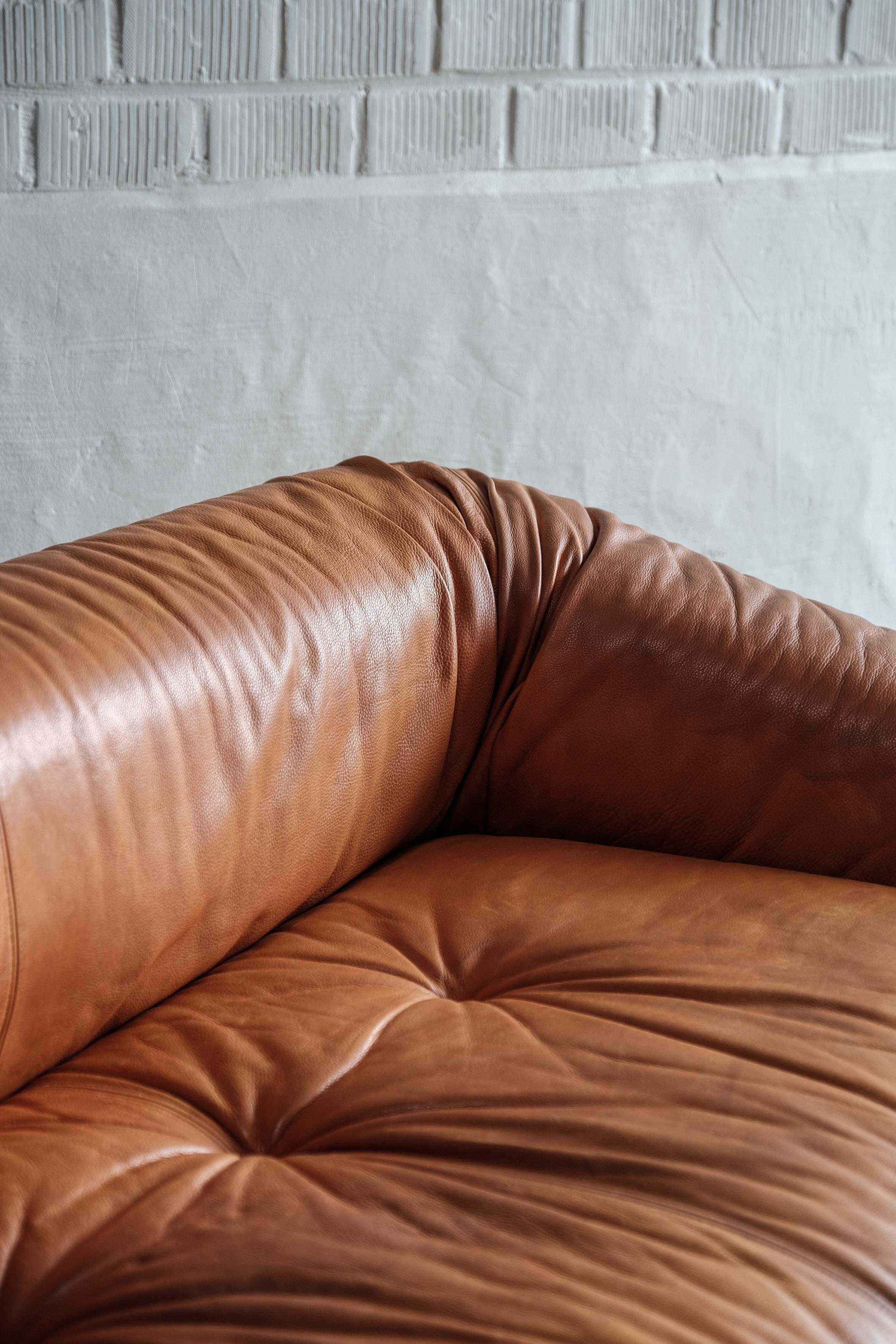 Leather Anfibio sofa by Alessandro Becchi for Giovanetti 1970 For Sale