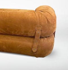 Divano Anfibio di Alessandro Becchi, Italia, anni '70