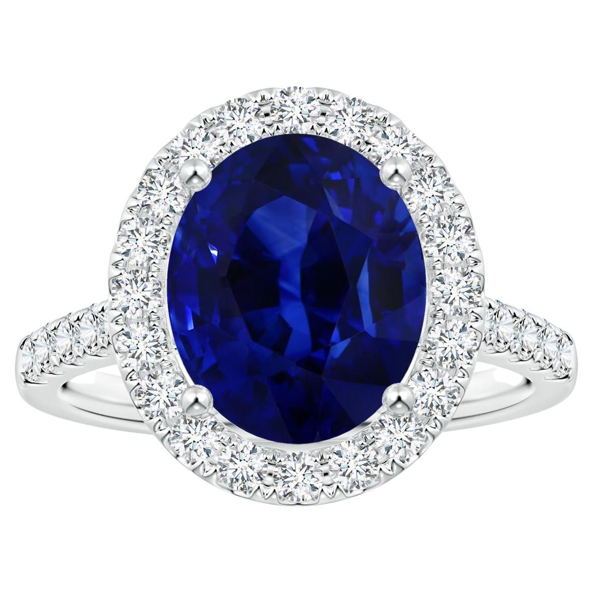 Angara Gia Certified Natural Blue Sapphire Halo Ring in White Gold with Diamonds