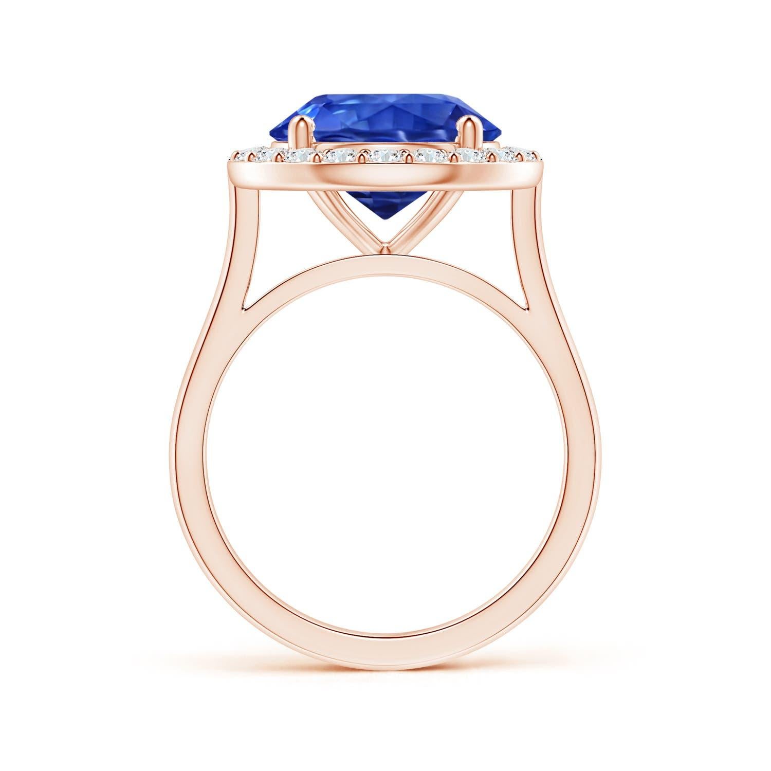 ANGARA GIA Certified Natural Round Blue Sapphire Ring in Rose Gold with Halo 2
