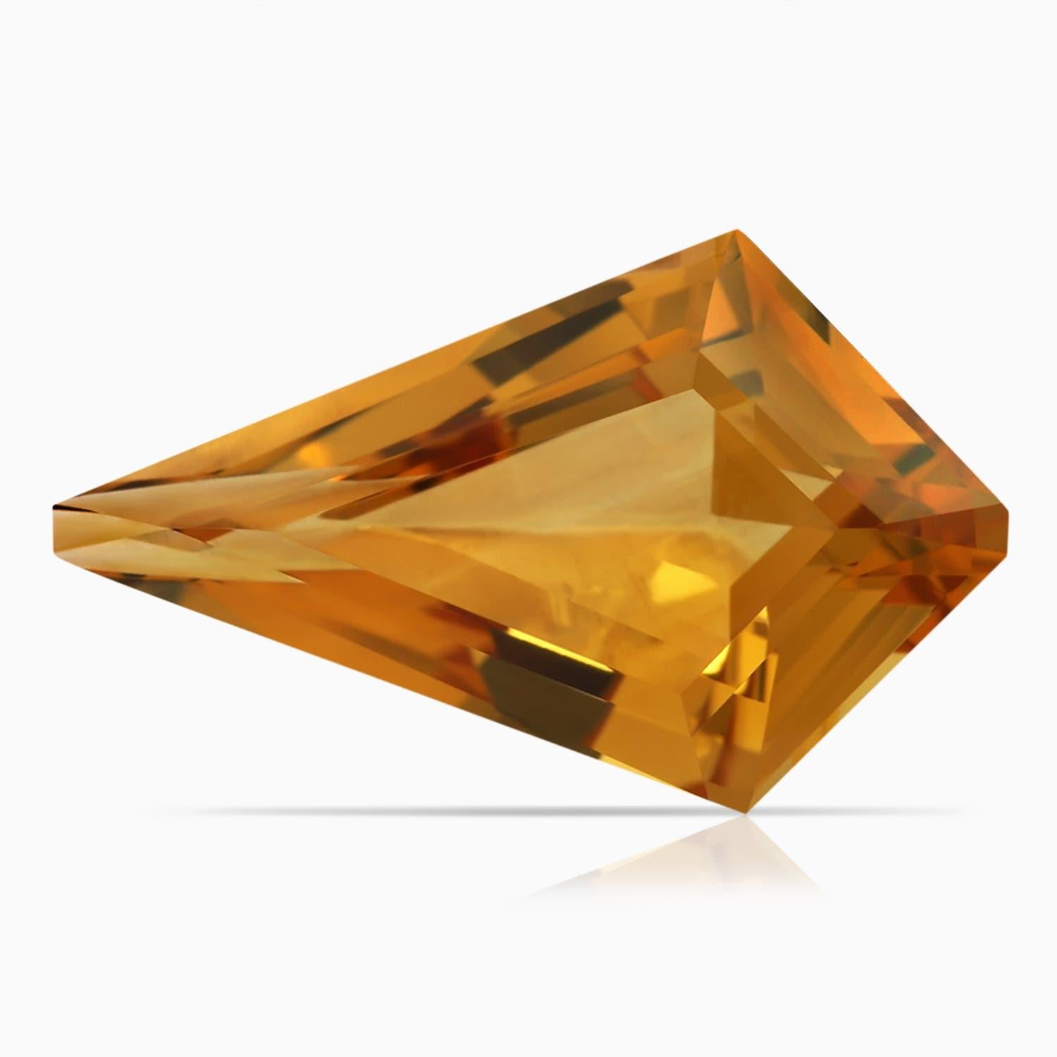 Angara Natural GIA zertifiziert Drachenform 8,78 ct Citrin Anhänger in 14K Gold im Angebot 1