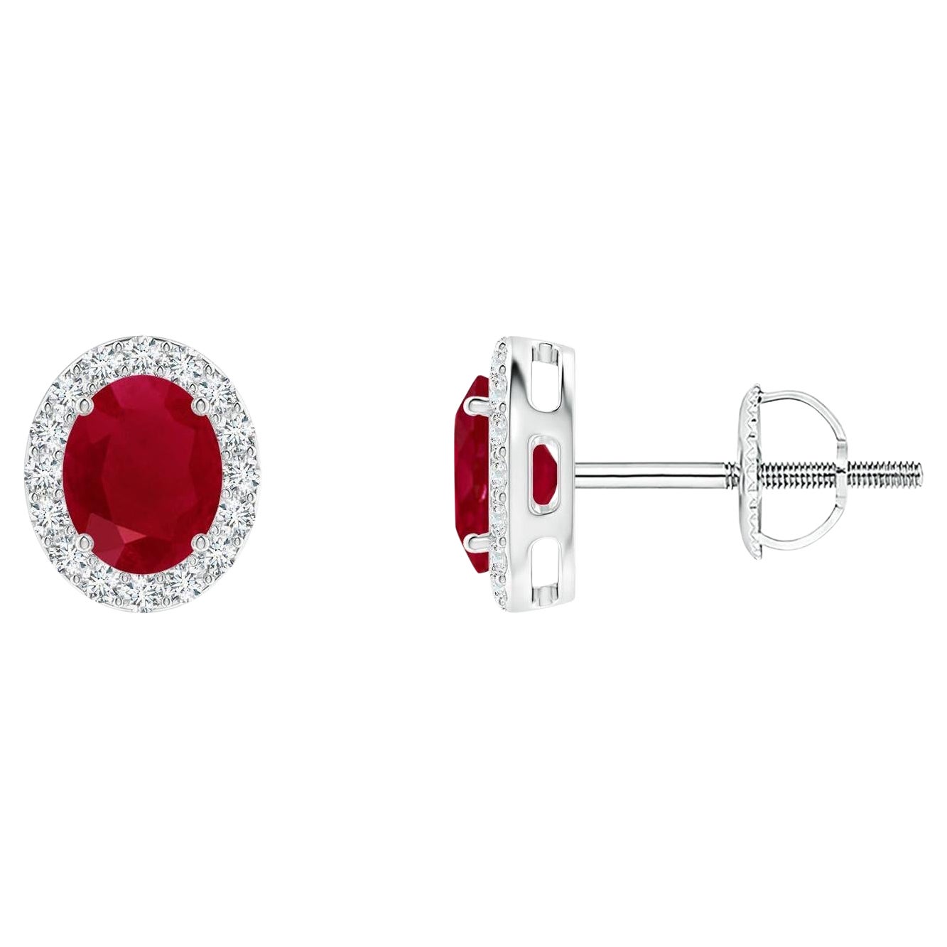 ANGARA Natural Oval 0.80ct Ruby Studs with Diamond Halo in 14K White Gold