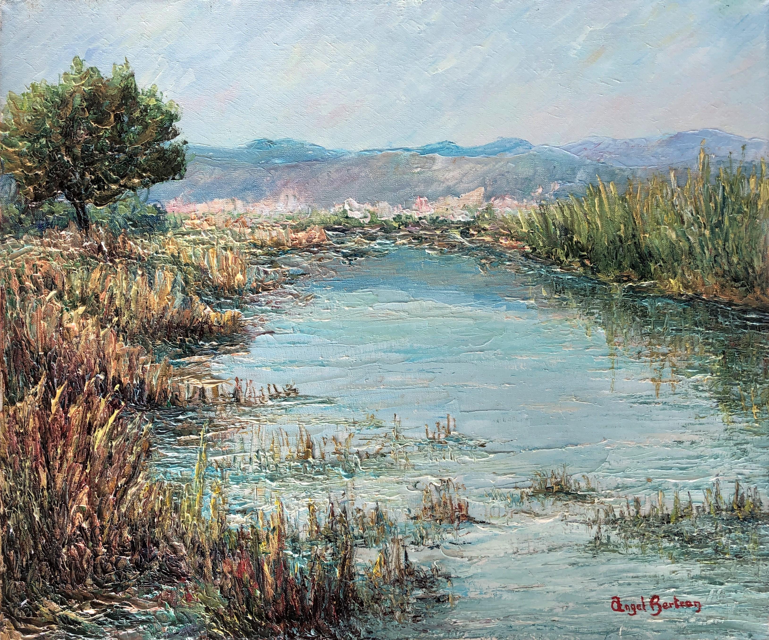 Angel Bertran Montserrat Landscape Painting - Marsh oil on canvas painting spanish seascape