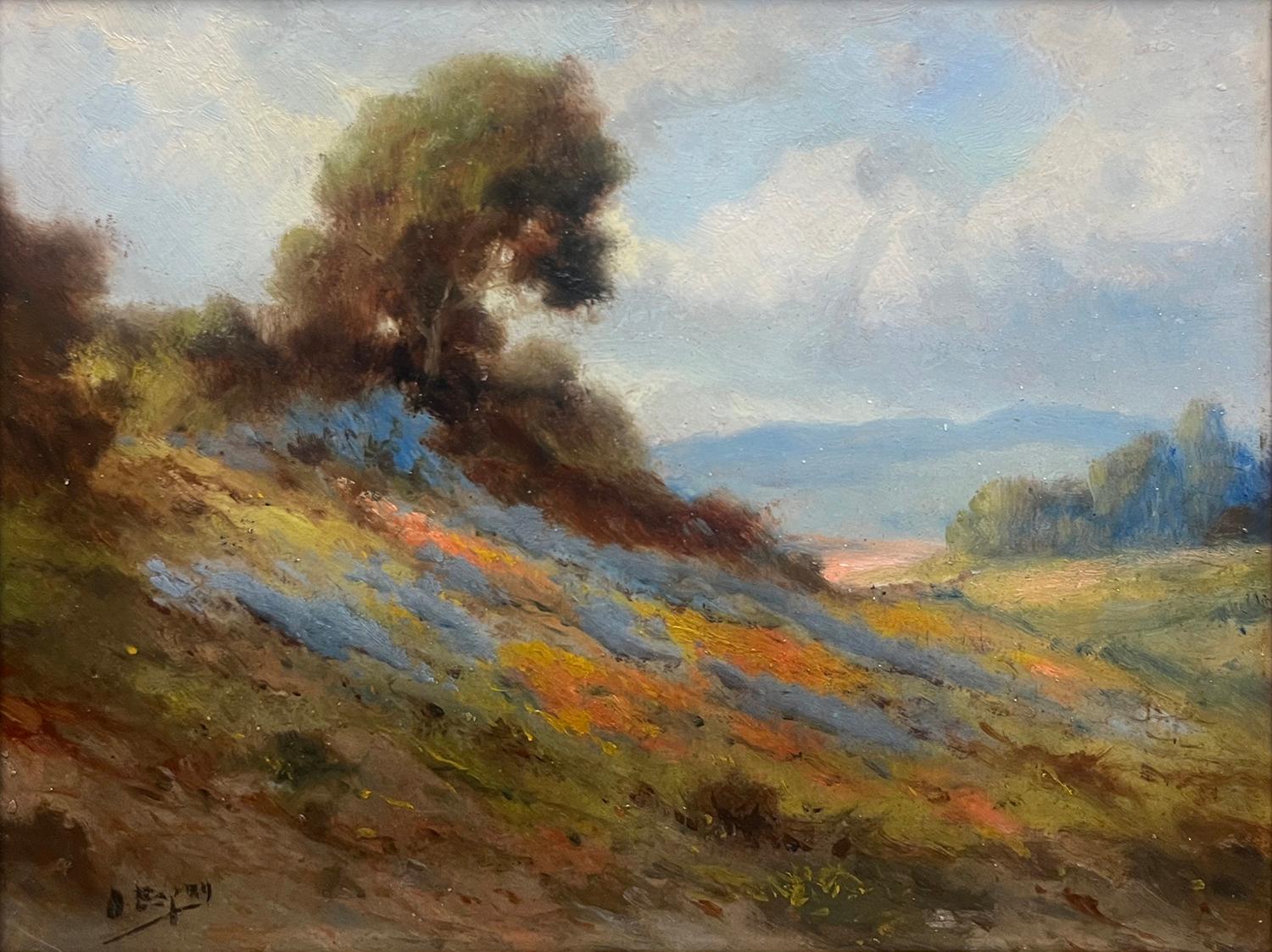 California Lupines and Poppies, c. 1930 - Painting by Angel De Service Espoy