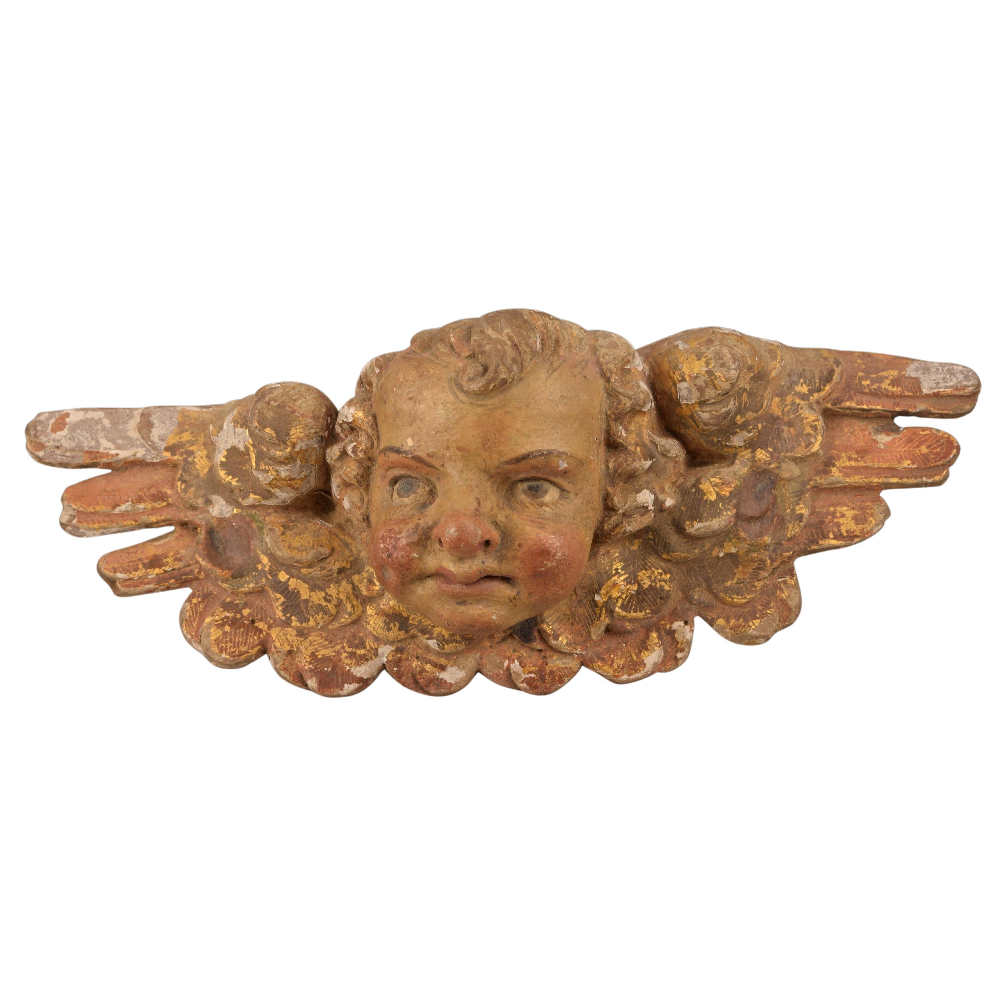 Angel Head Carved and Polychromed Wood, 17th Century