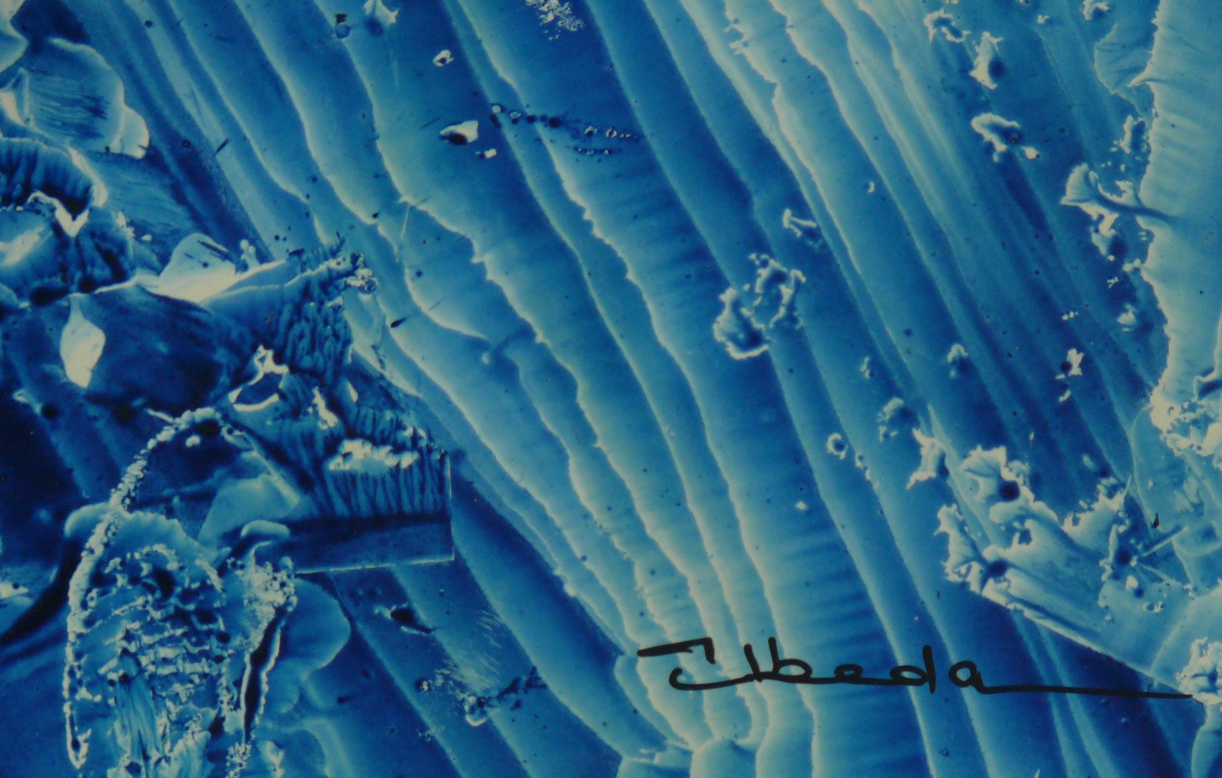 Under The Sea Serie N 16. beda. Blaue Unterwasserlandschaft in Öl, Fantasie (Moderne), Painting, von Ángel Luis Úbeda