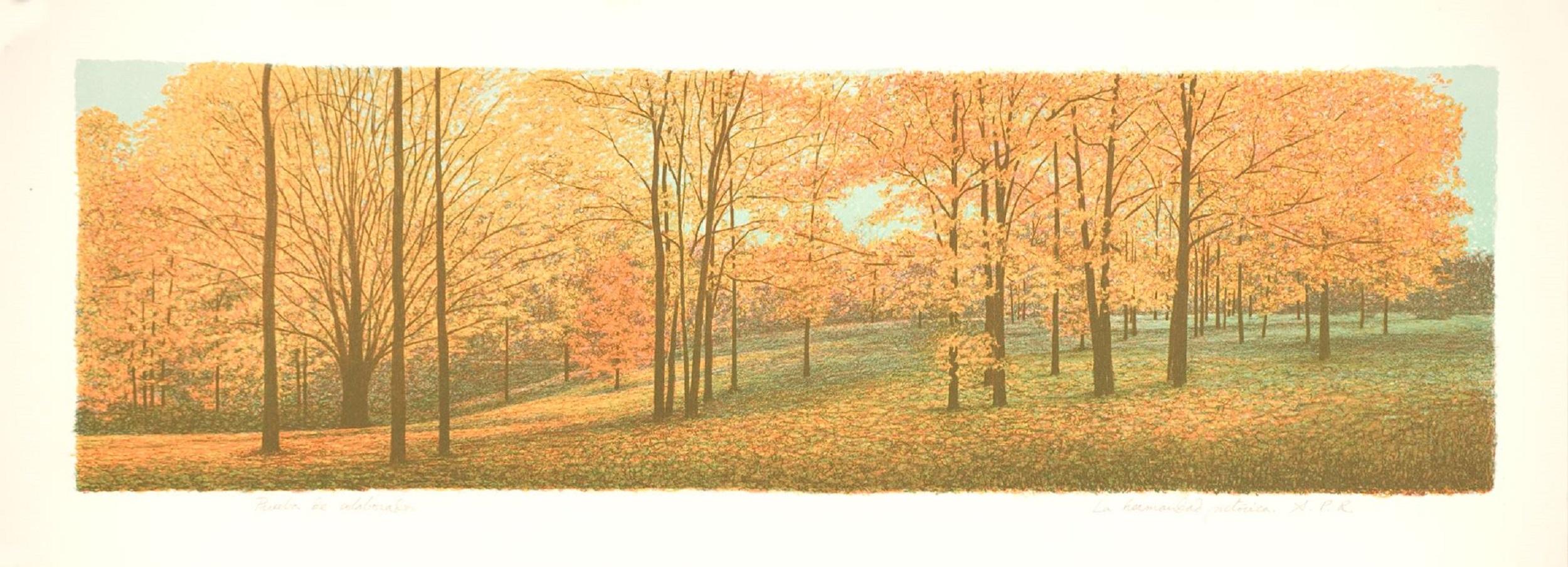 Spanische signierte Original-Kunstdrucklithographie des spanischen Künstlers in limitierter Auflage n8 – Print von Angel Pascual Rodrigo