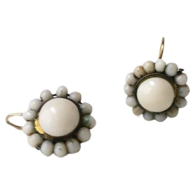 What is angel skin coral?