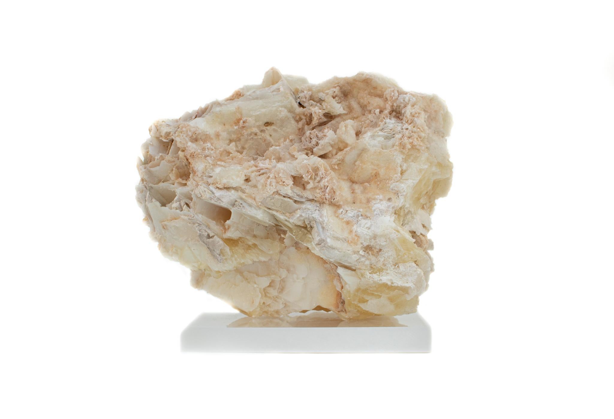 calcite shells