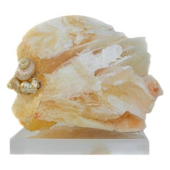 Angel Wing Calcite with Pearlescent Shells and Baroque Pearls on Lucite