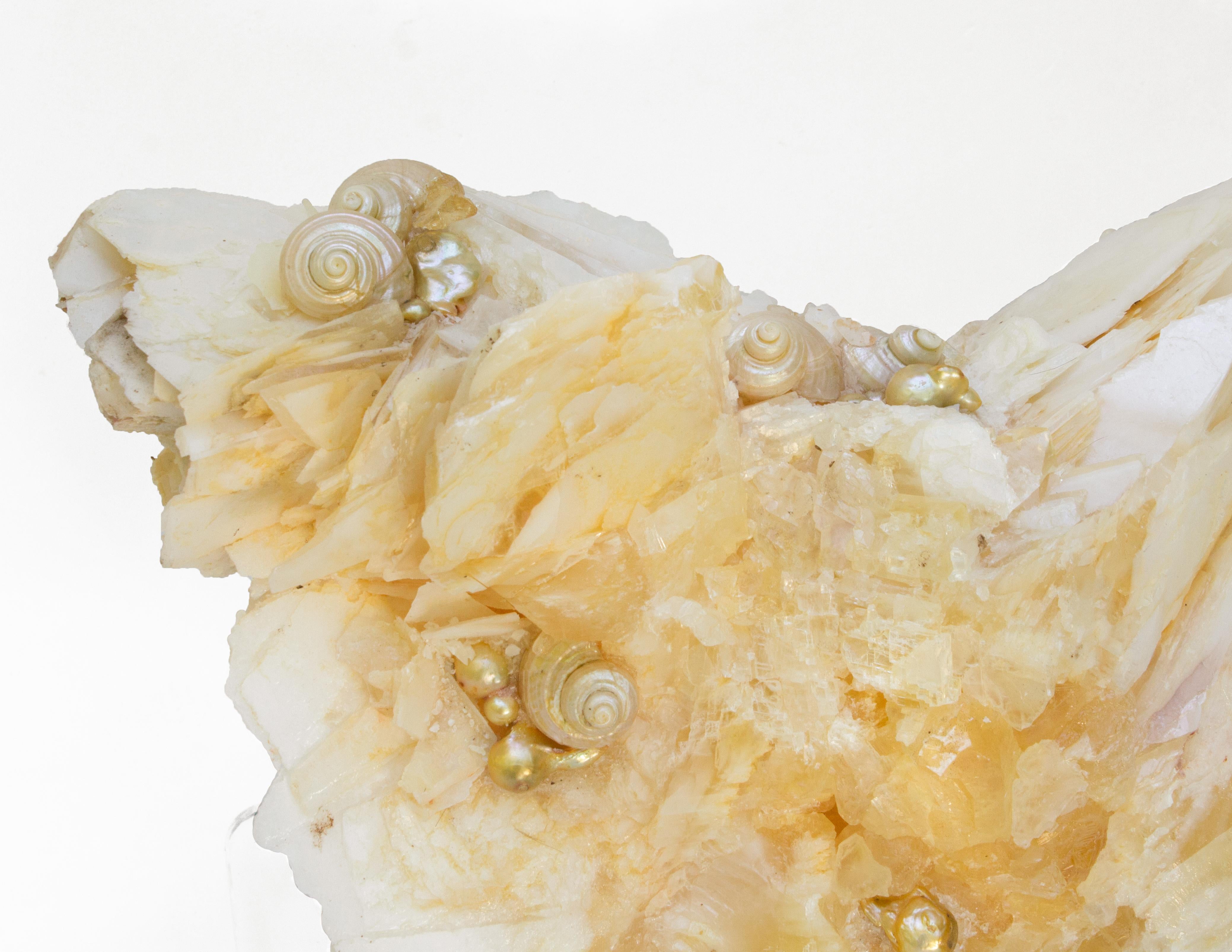 Angel wing calcite decorated with coordinating pearlescent shells and natural-forming Baroque pearls on a Lucite base. 

The angel wing calcite is held together with natural-forming calcite crystals which is very unusual to find with this specimen