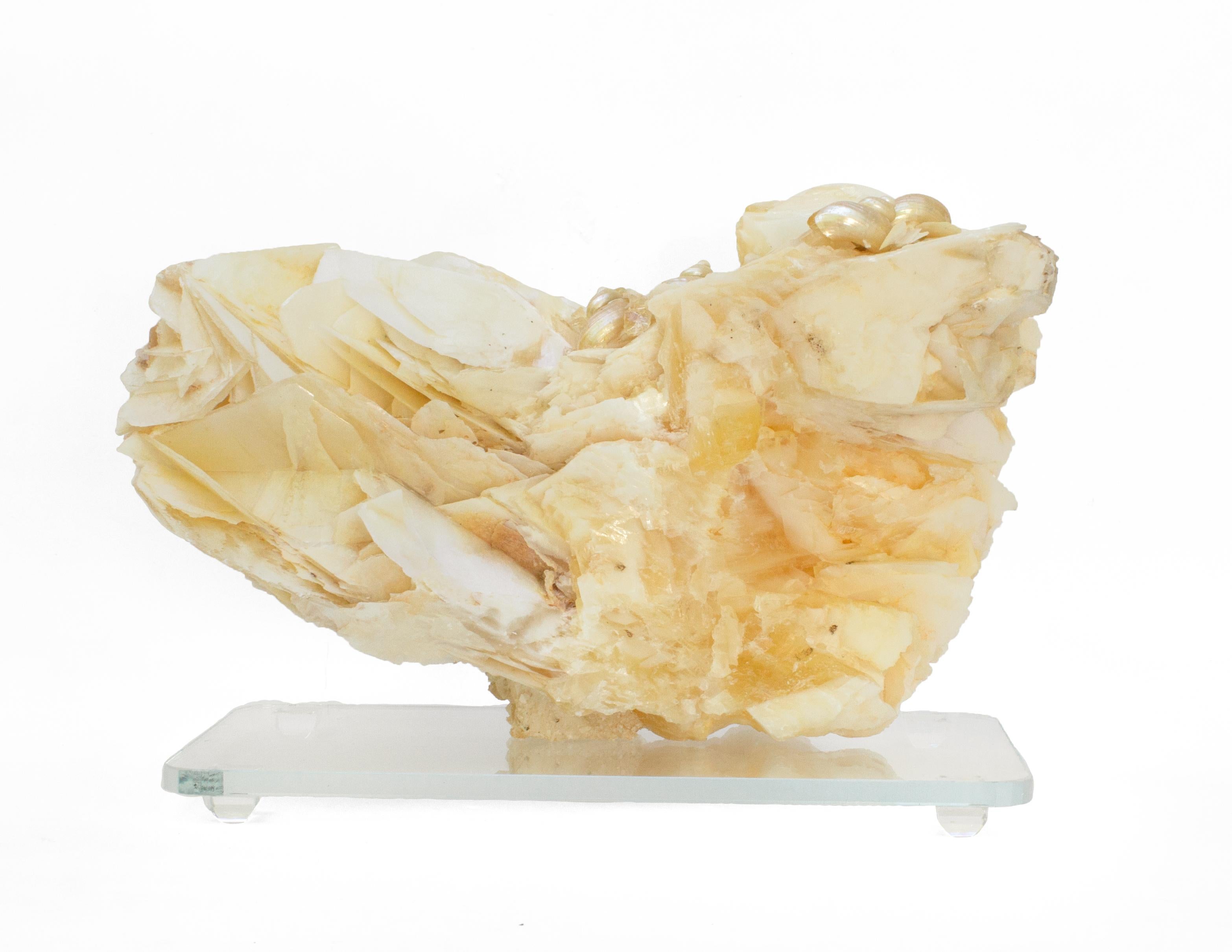 Organic Modern Angel Wing Calcite with Pearlescent Shells and Baroque Pearls on Lucite