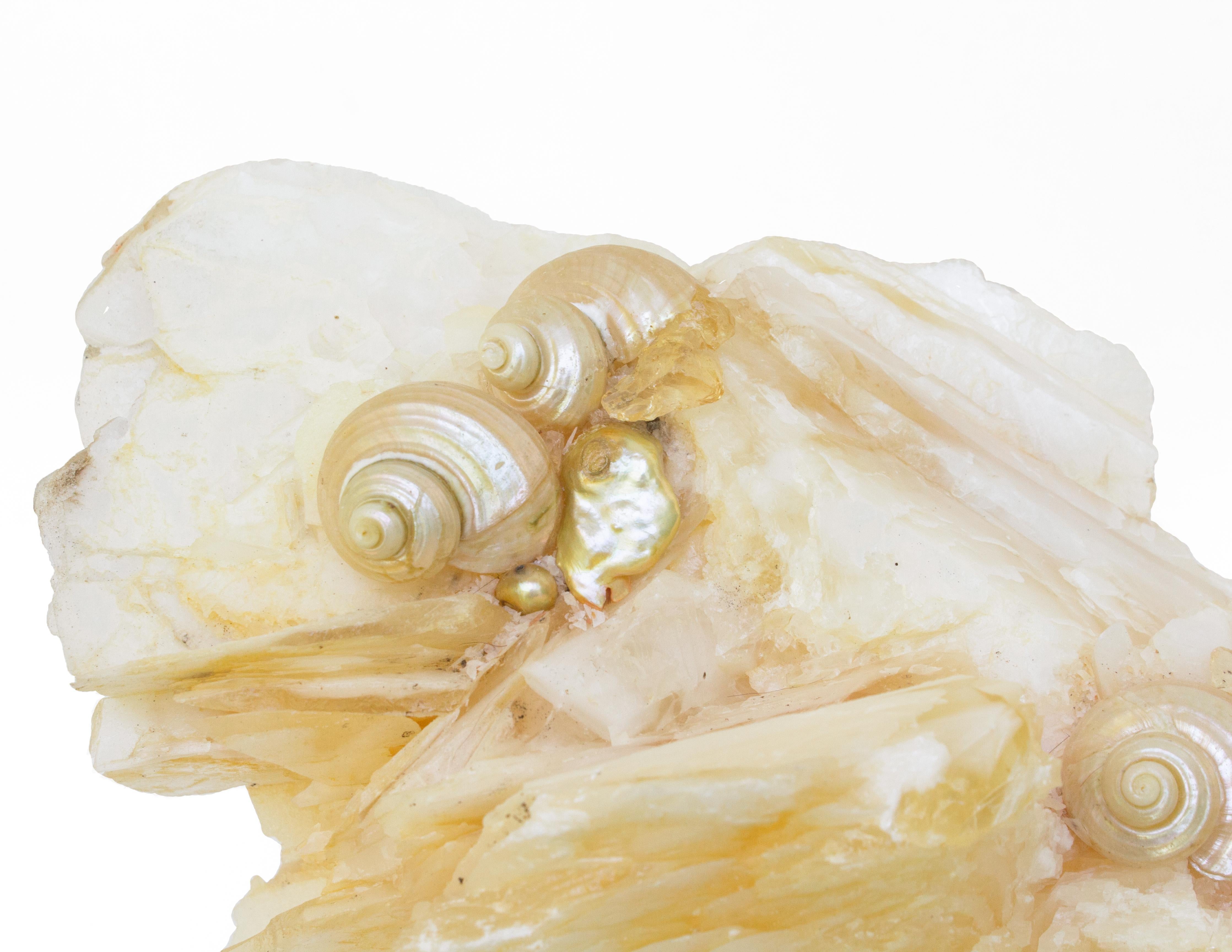 Polished Angel Wing Calcite with Pearlescent Shells and Baroque Pearls on Lucite