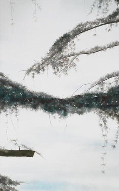 Cedaring V