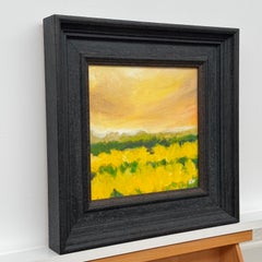 Golden yellow field at dusk beneath a glowing amber sky in English Countryside