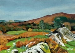 Paesaggio in miniatura di Loughrigg Fell a Grasmere nel Lake District in Inghilterra