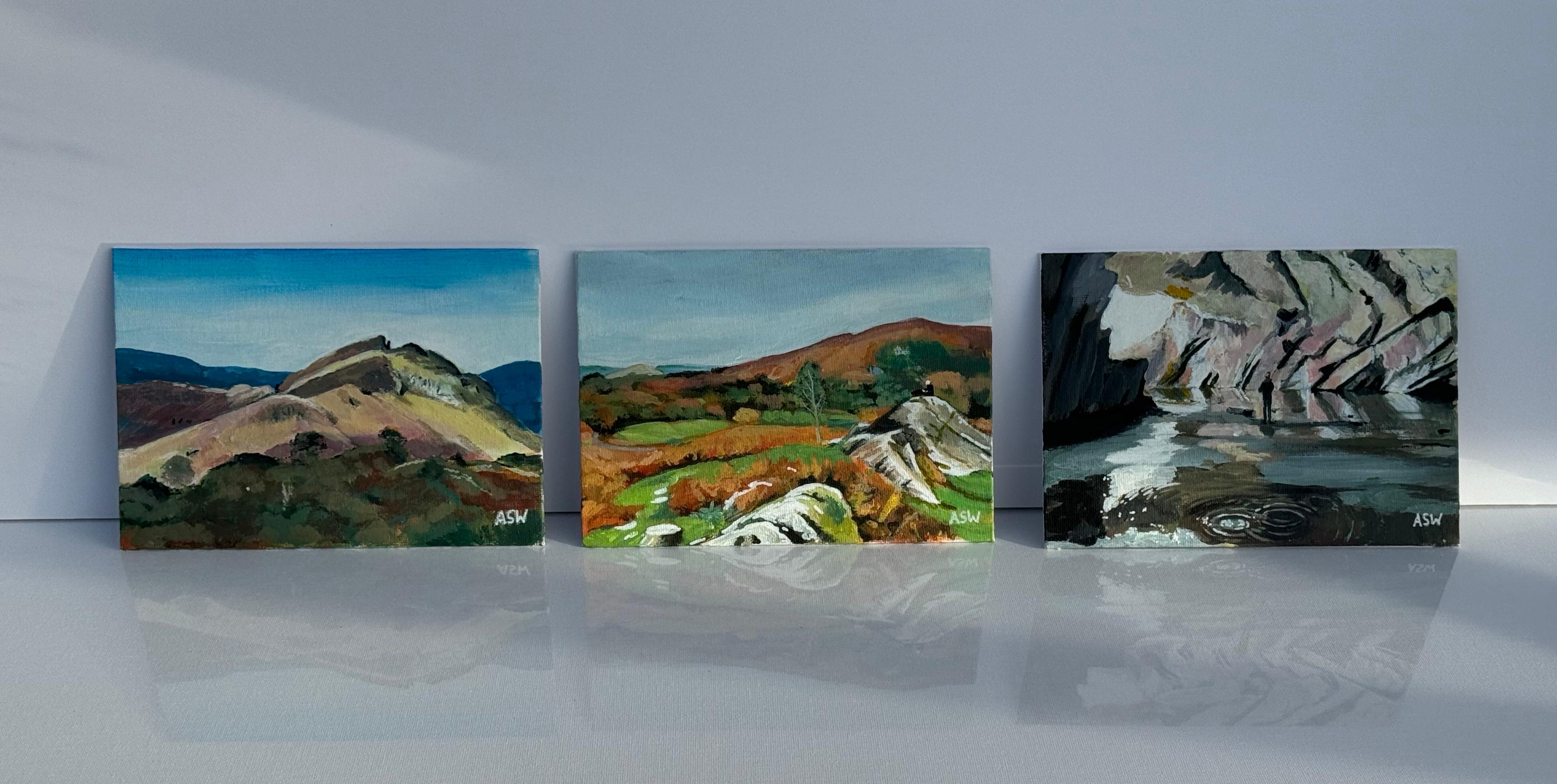 Paisaje en miniatura de las Cuevas de Rydal en Loughrigg Fell, sobre Grasmere, en el Distrito de los Lagos, Inglaterra, de la artista británica contemporánea Angela Wakefield.

El arte mide 7 x 5 pulgadas 
El marco mide 12 x 10 pulgadas 

Angela