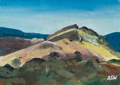 Paesaggio in miniatura di Loughrigg Fell vicino a Grasmere nel Lake District, in Inghilterra