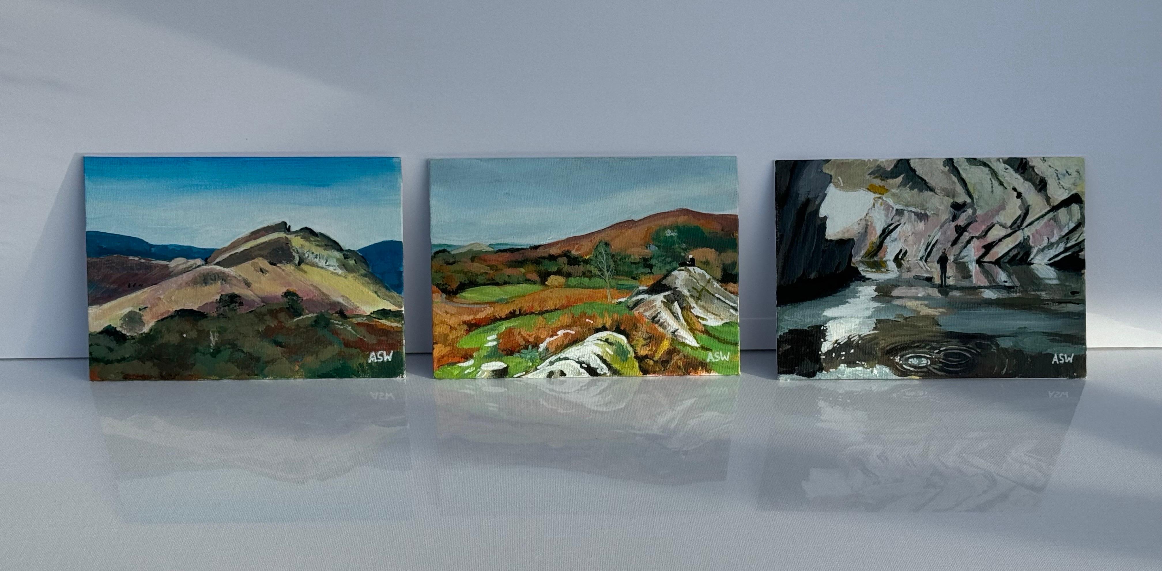 Miniature Landscape of Loughrigg Fell near Grasmere in the Lake District England by Contemporary British Artist Angela Wakefield. 

Art measures 7 x 5 inches
Frame measures 12 x 10 inches 

Angela Wakefield has twice been on the front cover of ‘Art