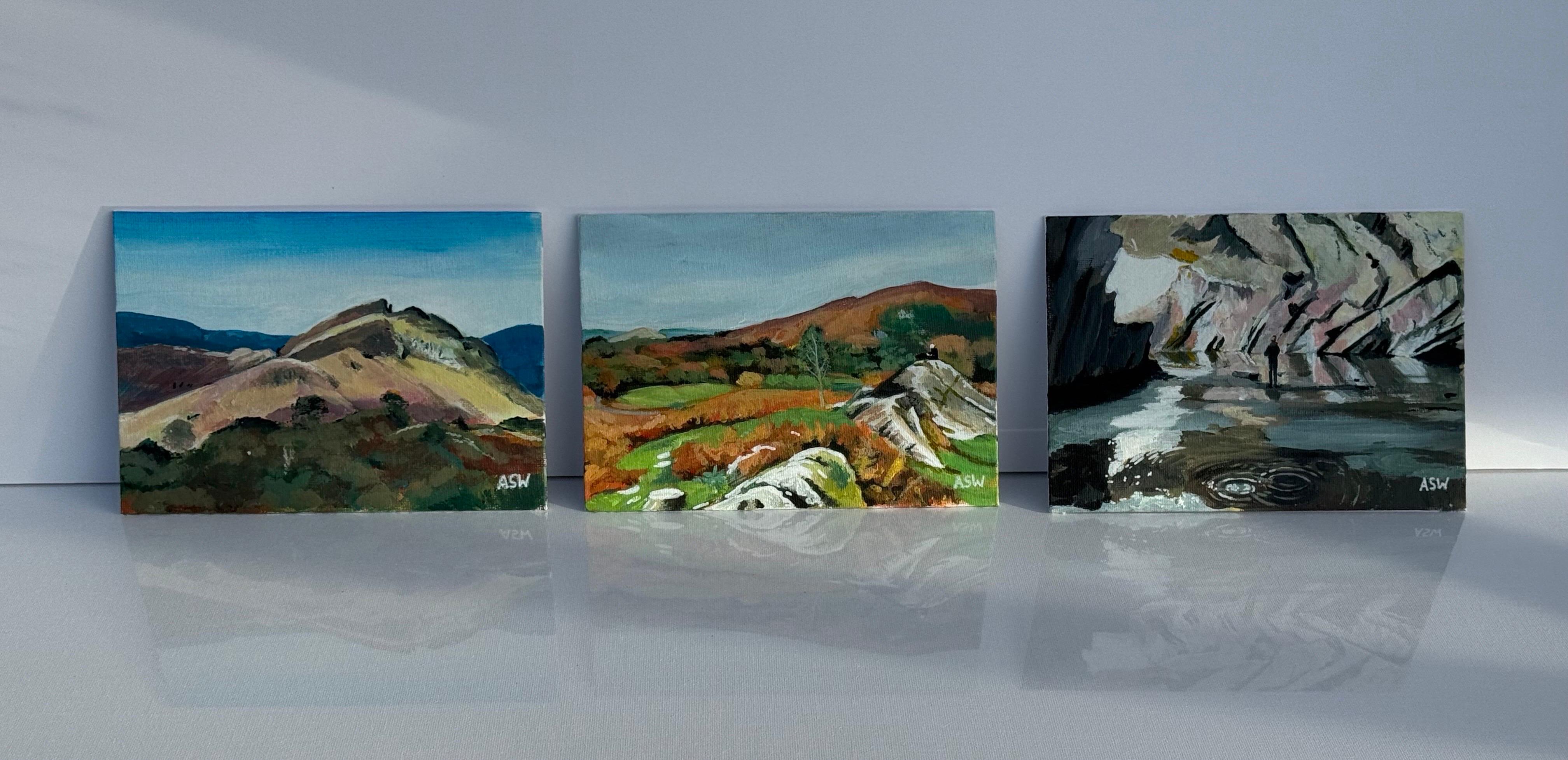 Paisaje en miniatura de las Cuevas de Rydal en Loughrigg Fell, sobre Grasmere, en el Distrito de los Lagos, Inglaterra, por la artista británica contemporánea Angela Wakefield

El arte mide 7 x 5 pulgadas
El marco mide 12 x 10 pulgadas 

Angela